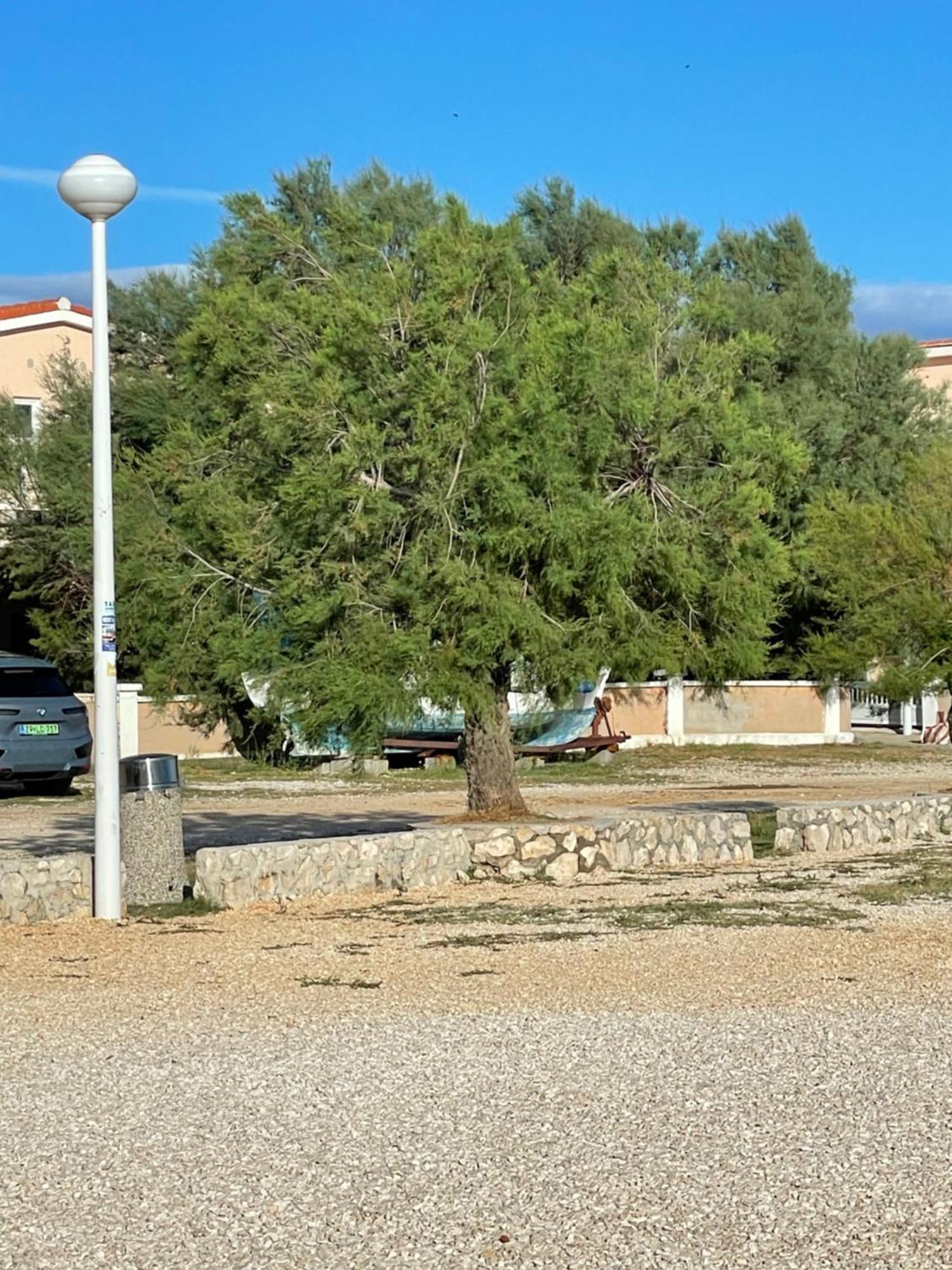 Apartman Boja Vir Luaran gambar